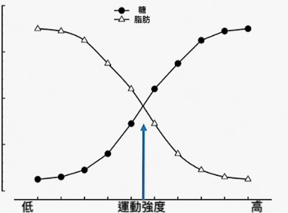 有氧運動 能量