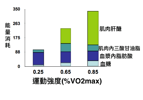 有氧運動 減肥