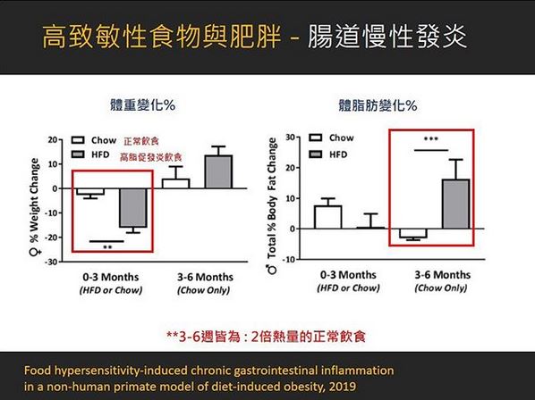 高至敏性食物與肥胖 腸道慢性發炎