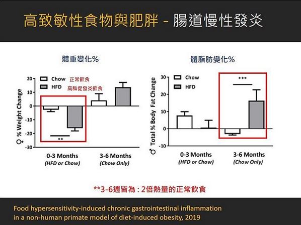 高至敏性食物與肥胖 腸道慢性發炎